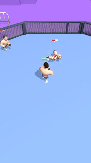 Hyper Wrestler 3D截图4