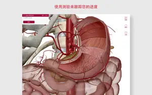 解剖和生理学截图5