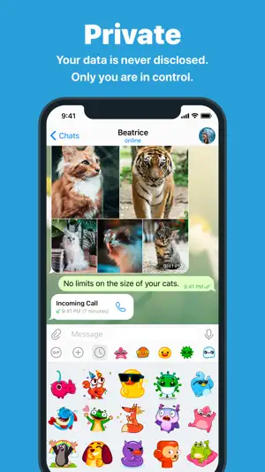 Telegram Messenger截图4