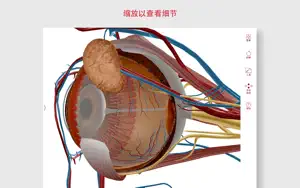 解剖和生理学截图3