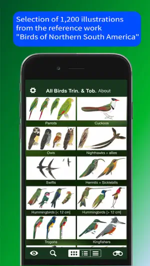 All Birds Trinidad and Tobago截图5